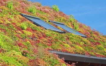 Brimpton Common living roof systems