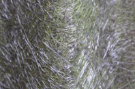 Brimpton Common fibreglass roof work