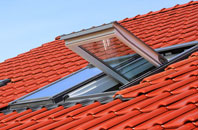 Brimpton Common roof window